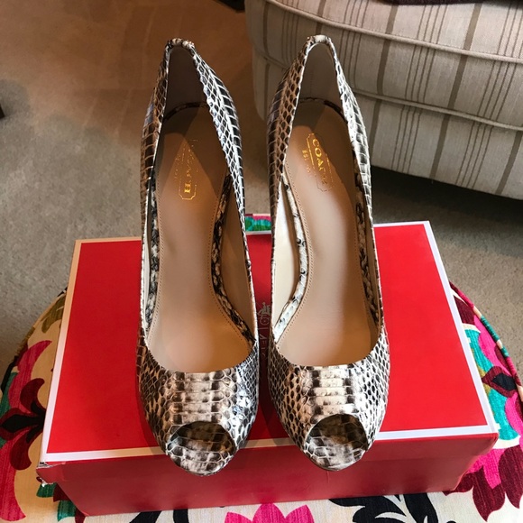 Coach Shoes - Coach Selma Snake Peep Toe size 9